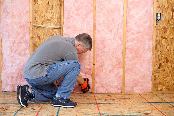 Best Insulation Maintenance and Repair in Bellevue, PA