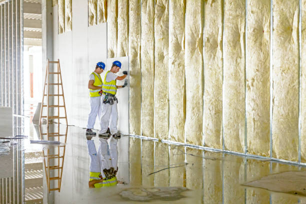 Best Residential Insulation in Bellevue, PA
